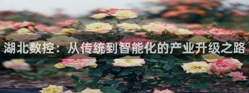 天辰娱乐平台娱乐注册:湖北数控:从传统到智能化的产业升级之路