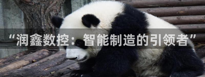 天辰臣娱乐:“润鑫数控:智能制造的引领者”