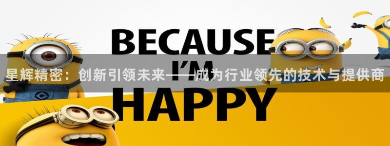 天辰娱乐 天辰平台:星辉精密:创新引领未来——成为行业领先的技术与提供商
