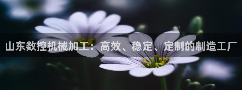 天辰娱乐1980:山东数控机械加工:高效、稳定、定制的制造工厂