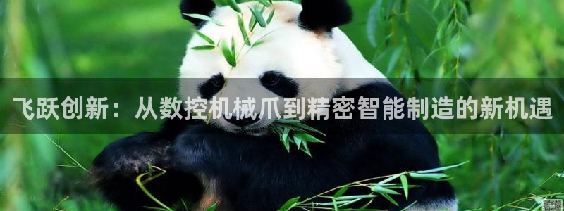 天辰天富娱乐:飞跃创新:从数控机械爪到精密智能制造的新机遇