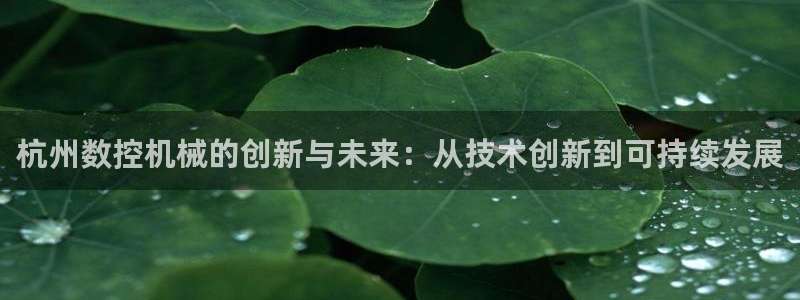北京天辰娱乐:杭州数控机械的创新与未来:从技术创新到可持续发展