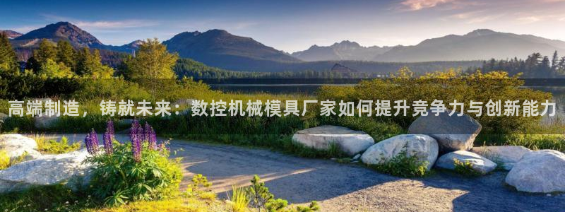 徐州天辰娱乐:高端制造,铸就未来:数控机械模具厂家如何提升竞争力与创新能力