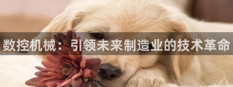 天辰娱乐官方网:数控机械:引领未来制造业的技术革命