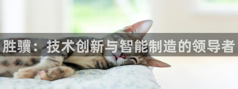 天辰娱乐所:胜骥:技术创新与智能制造的领导者