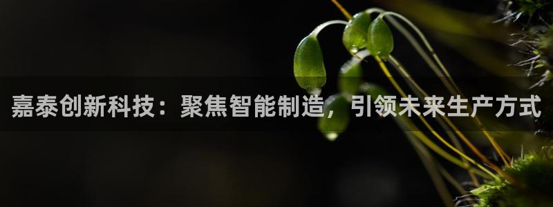 天辰娱乐传媒:嘉泰创新科技:聚焦智能制造,引领未来生产方式