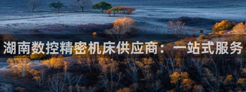天辰娱乐 qq:湖南数控精密机床供应商:一站式服务