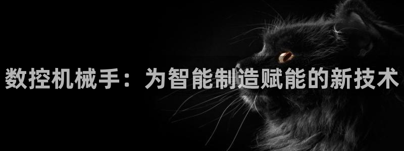 天辰娱乐总管:数控机械手:为智能制造赋能的新技术