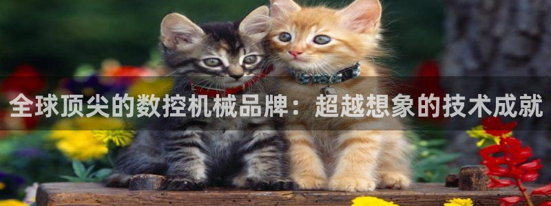 天辰娱乐视频:全球顶尖的数控机械品牌:超越想象的技术成就