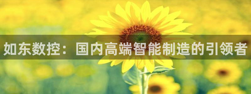 天辰娱乐 39974:如东数控:国内高端智能制造的引领者