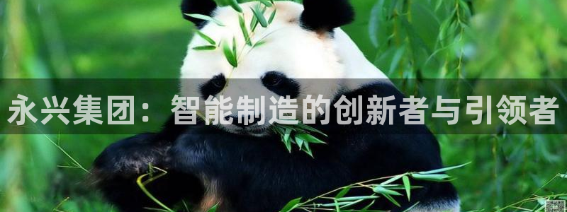 天辰娱乐官方登录下载:永兴集团:智能制造的创新者与引领者